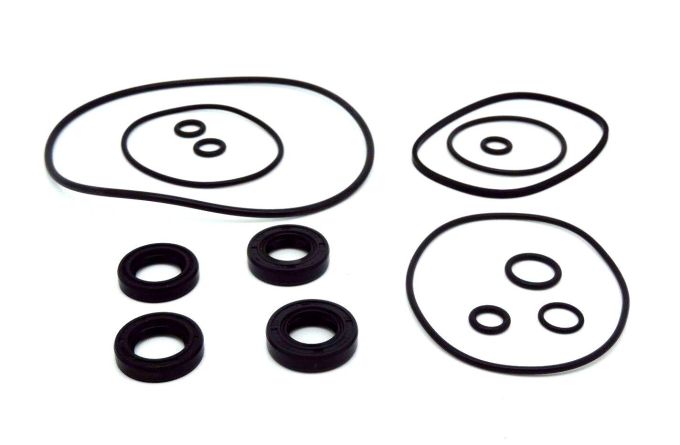Dichtsatz Lenkungshydraulik mit 2 x Doppellippen-Wellendichtringe