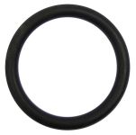 O-ring for inlet valve